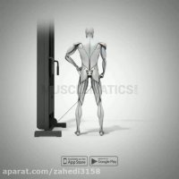 آموزش حرکات بدنسازی. نشر از جانب با سیم کش