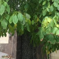 سنگ لاشه سنگ مالون سنگ کوهی 09124026545 بااستادکاران حرفه ای