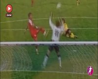 علیرضا واحدی نیکبخت; ستاره جنجالی مشترک سرخابی ها