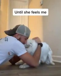 کلیپ زیبا و تاثیر گذار سگ نابینا و ناشنوا (توضیحات را حتما بخوانید)