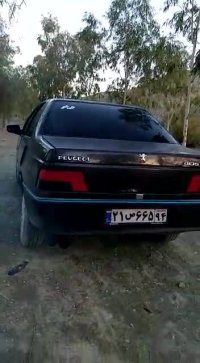 شوتی هرمزگان