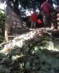 کوه پول بی ارزش محل بازی بچه ها در ونزوئلا