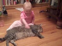 گربه مو دوست دارم خب