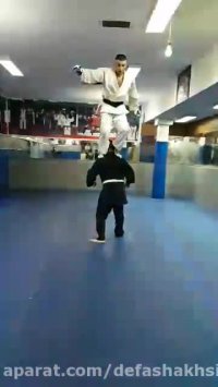آموزش دفاع شخصی  سید عباس آل صادق