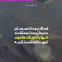 آب، ماهی، هامون، شن، طوفان، زابل