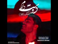 دانلود آهنگ رضا ملک زاده دوست دارم