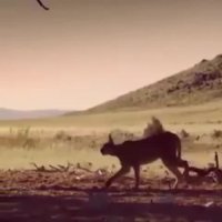 قدر لحظه ها را بدانیم