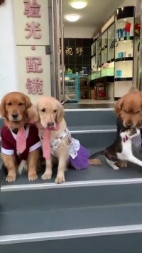 کلیپ خنده دار کوتاه عکس خانوادگی