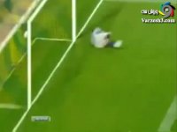 یک گل فوق العاده (3)