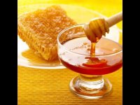 فروش عسل طبیعی