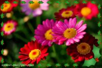 ماه رجب مبارک