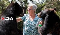 مامان بزرگی که با دوتا خرس زندگی می‌کنه