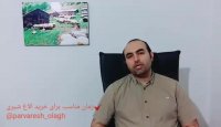 زمان مناسب خرید الاغ شیری