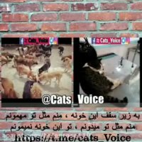 این تصاویر مربوط به پناهگاه سر پناه میباشد