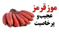 موز قرمز عجیب و پرخاصیت