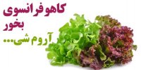 کاهو فرانسوی بخور آروم شی :: خواص کاهو