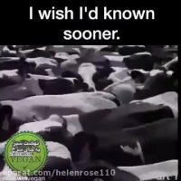 با دیدن حقایق پشت پرده آیاحاضرى بازكوشت بخورى؟؟