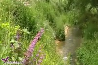 سفر به سرعین و اردبیل سرزمین چشمه های بهشتی