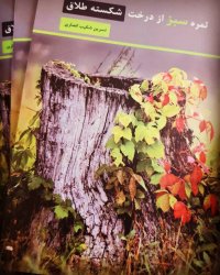 معرفی کتاب ثمره سبز از درخت شکسته طلاق