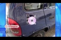 نجام ندادن بعضی کارا بهتر از اینه که اینجوری انجامش بدین و سوژه‌ی الن بشین