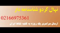 قیمت نهال گردو کانادایی کشت بافت 09120460354