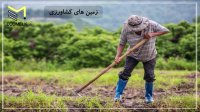 راهنمای خرید هوشمندانه زمین در شمال