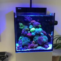 آکواریوم های آب شور تپه مرجانی نانو ایران کورال: