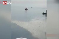 فیلمی از هواپیمای اندونزی که سقوط کرد