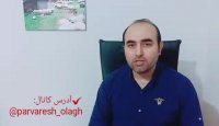 نکات اولیه که در پرورش الاغ شیری باید بدانید
