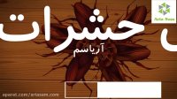 با این روش سوسک ها را ریشه کن کنید