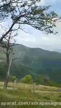 فرهنگ بالای گردشگری در کشور سوئیس