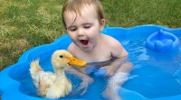 کلیپ خنده دار واکنش بچه کوچولو به اردک داخل تشت آب
