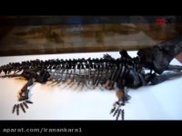 موزه تاریخ طبیعی لندن