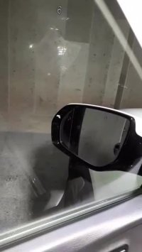 گندم کار نصب رادار نقطه کور سانتافه با کلید اصلی