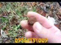 کشف گنج09362131009-09372131009