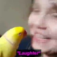 محبت به حیوانات