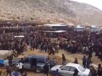 رسمی در یاسوج که چند نفر را به کام مرگ کشاند