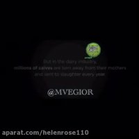 اگربچه ات اینگونه از تو جدامیكردند آنگاه تو چه میكردی؟؟