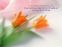 ازدواج موقت