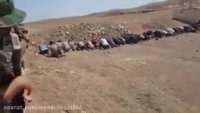 لحظه تسلیم شدن بیش ۳۵۰ داعشی فراری از العیاضیه