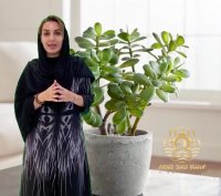 استفاده از گیاهان برای جذب ثروت