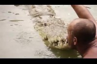 من و دوست مهربانم تمساح