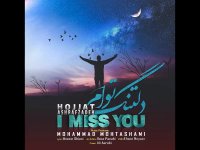 دانلود آهنگ حجت اشرف زاده دلتنگ توام