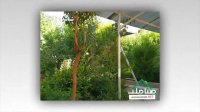 فروش باغ ویلا با تمامی امکانات در ملاردویلاجنوبی