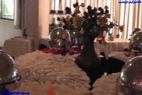 هتل 4 ستاره آریان کیش