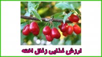 ارزش غذایی زغال اخته