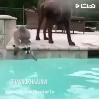 بیا دیگه آبش ولرمه