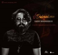 آهنگ جدید سعید محقق به نام دل نکن