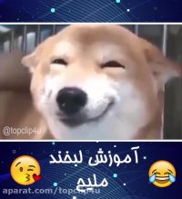 آموزش لبخند ملیح