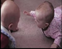 دعوای زرگری دوقلوها